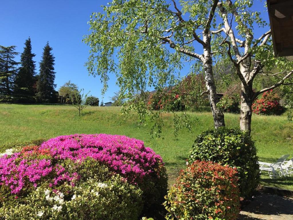 Le Betulle Villa Oggebbio Kültér fotó