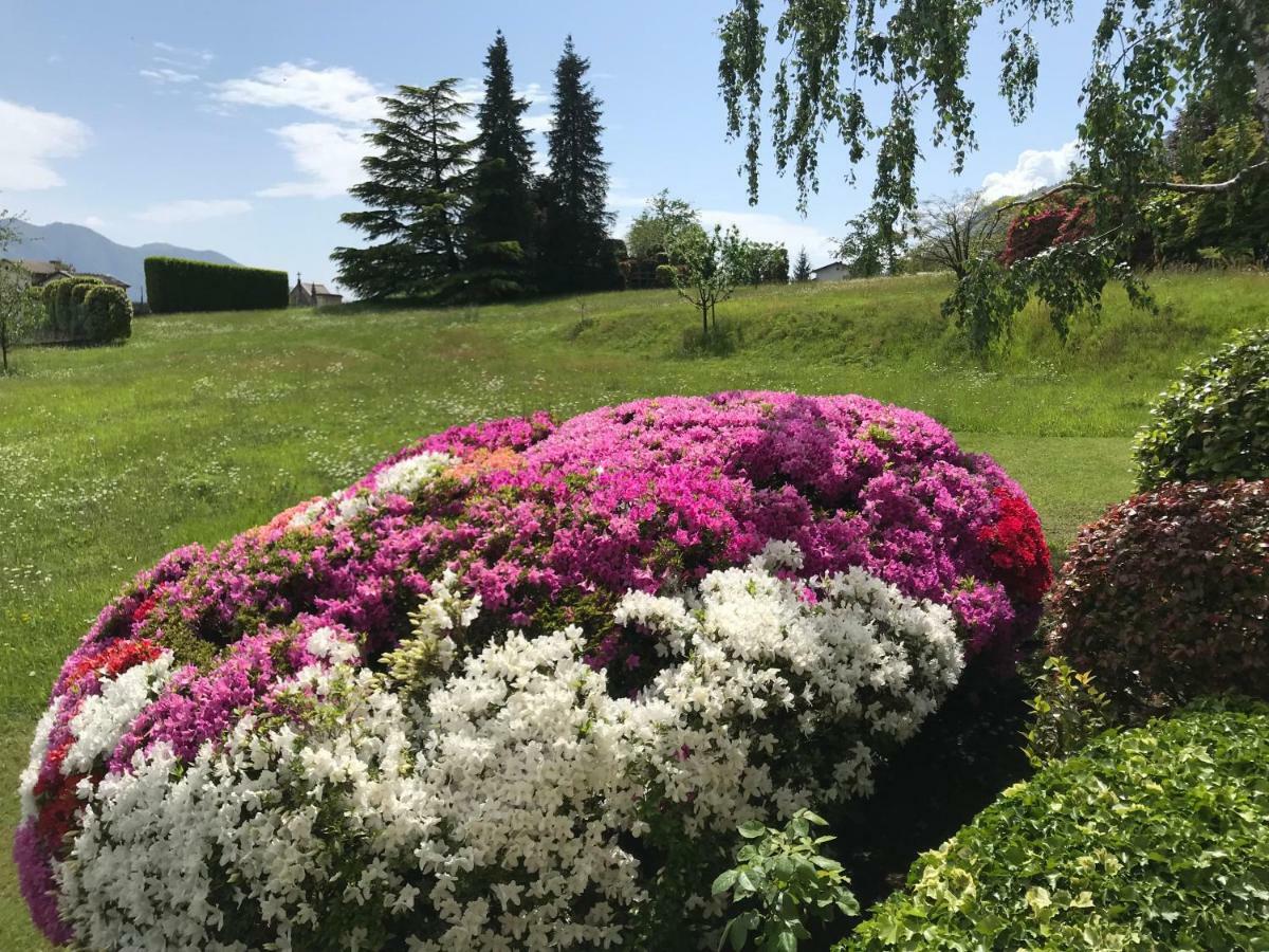 Le Betulle Villa Oggebbio Kültér fotó