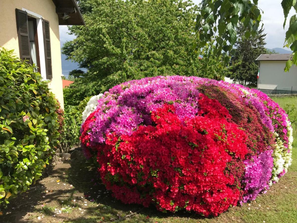 Le Betulle Villa Oggebbio Kültér fotó